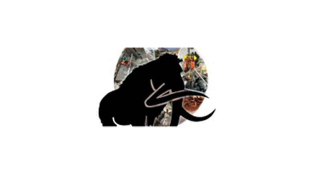 Mammouth Environnementaux Inc Logo